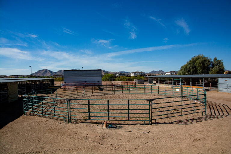 Round pens and hay barn