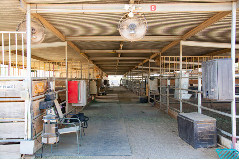 Stable Interior