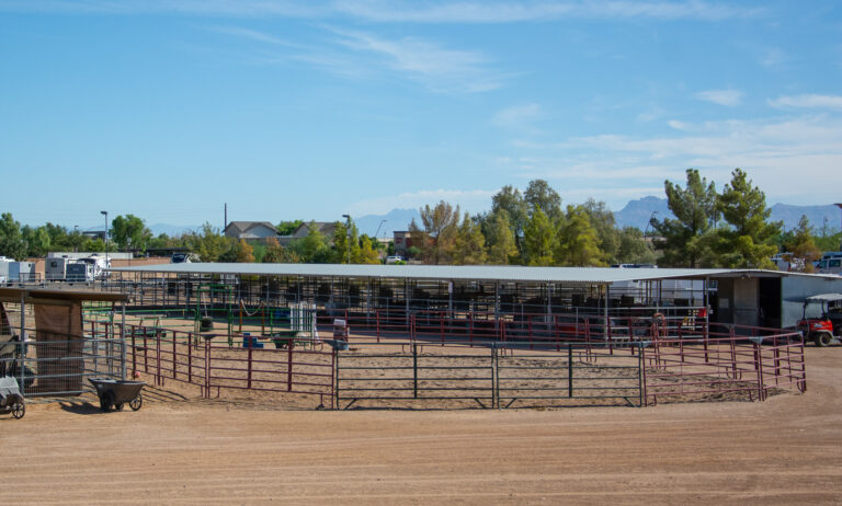 Turnout Pens and Auxiliary Stables