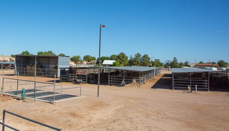 Equestrian Facility Hay Barn and Stables