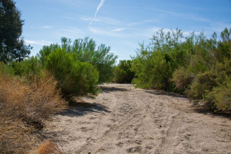 Queen Creek Wash