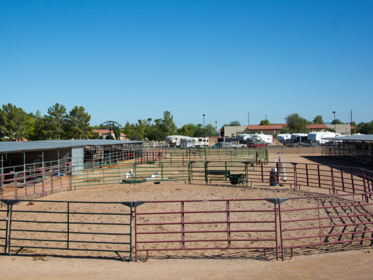 Equestrian Facility Turnouts